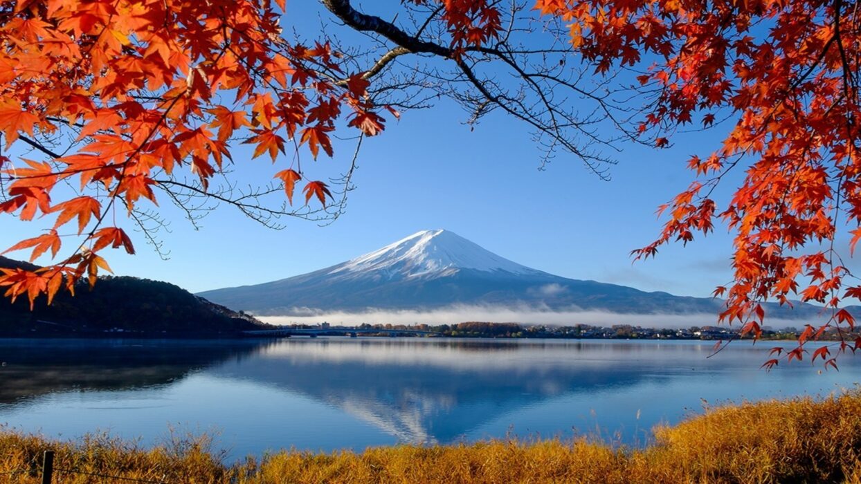 Mount Fuji view from Lake Kawaguchi during clear morning