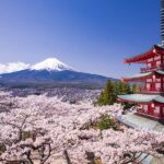 Cherry blossom spots in Japan with Mount Fuji and sakura trees